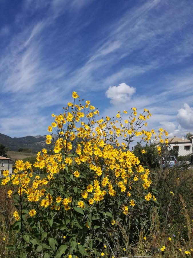 B&B Nel Verde Montesano sulla Marcellana Eksteriør billede